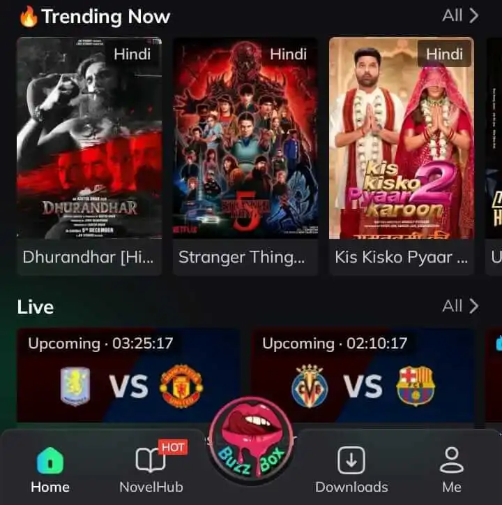 Pages and Sections of MovieBox App